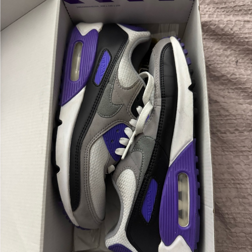 Nike Air Max 90 in Purple and Gray
